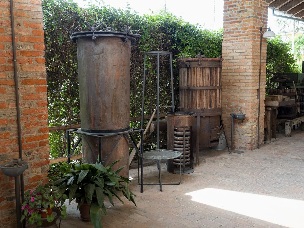Agriturismo Il Palazzone Montegalda Exterior photo